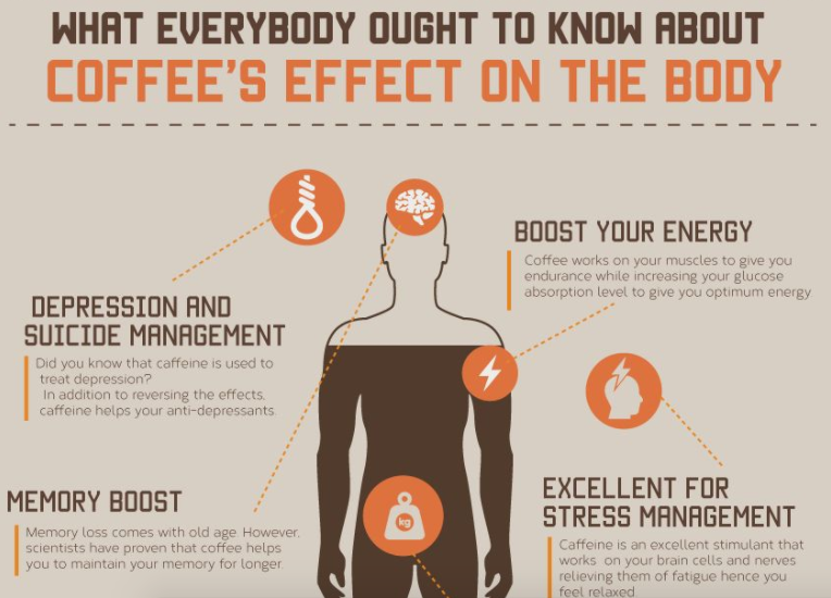Is Drinking Coffee good for you Coffee Magazine
