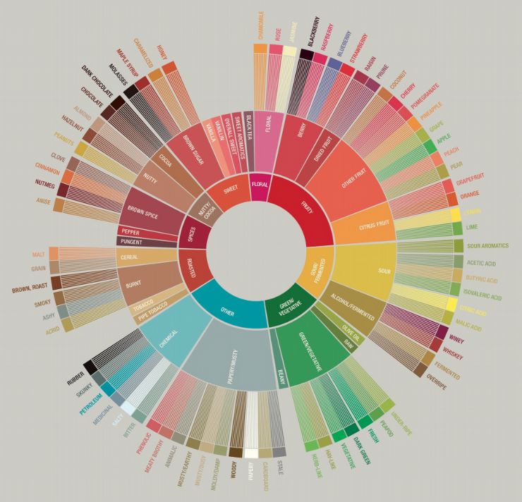 Counter Culture Coffee's Flavour Wheel – THINKINGCOFFEE
