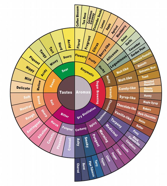 Updated Flavor Wheel from Counter Culture Coffee