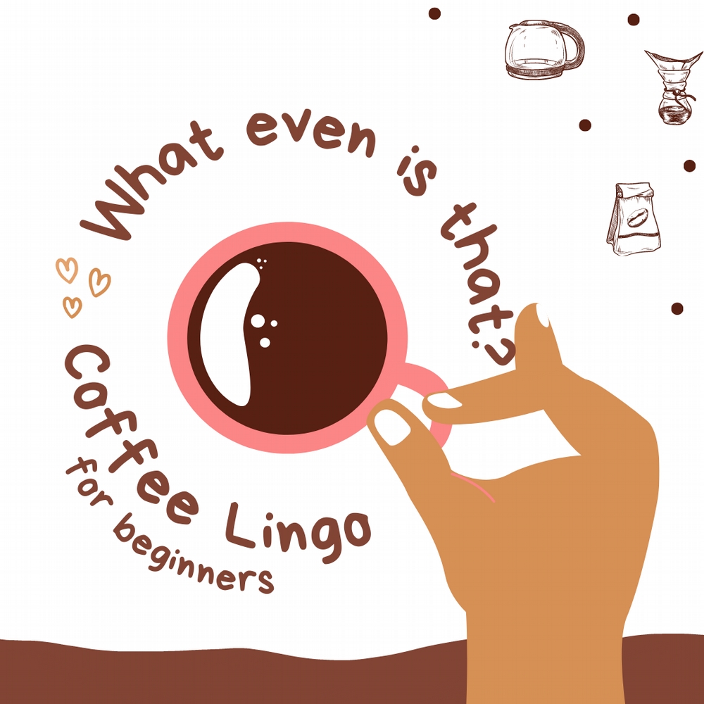 The Coffee Lingo You Need to Find Your New Favorite Beans