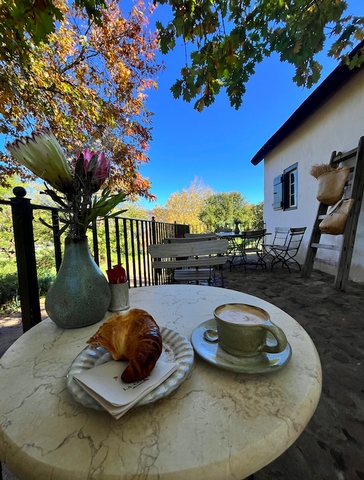 Cafe Focus: The Mill House Pattisserie - 