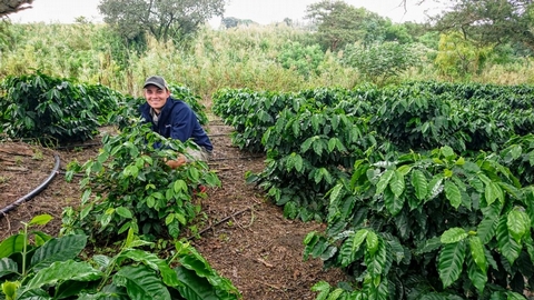 Getting to know the Farmer: Foothills Coffee, Mpumalanga - 