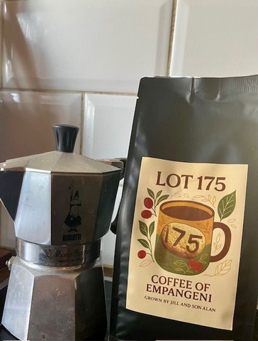 Getting to know the Farmer: Lot 175, coffee of Empangeni - <p>Lot 175, coffee of origin Empangeni is a smallholder lot from Jill Tayfield and her son Alan. This coffee is one of our SA grown coffees in this month's extremely limited edition Discover Great Co...</p>