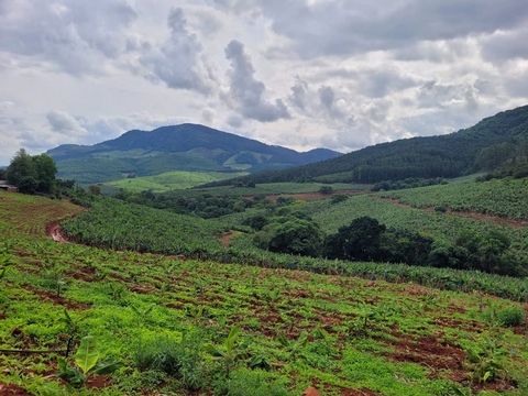 Getting to know the Farmer: Soutpansberg, Citimba Estate, Limpopo - <p>This is the second feature in a series of stories where we highlight the great work of some pioneering coffee farmers in South Africa!

This week we chat to Bruce Milton of Citimba Estate in Limpopo...</p>