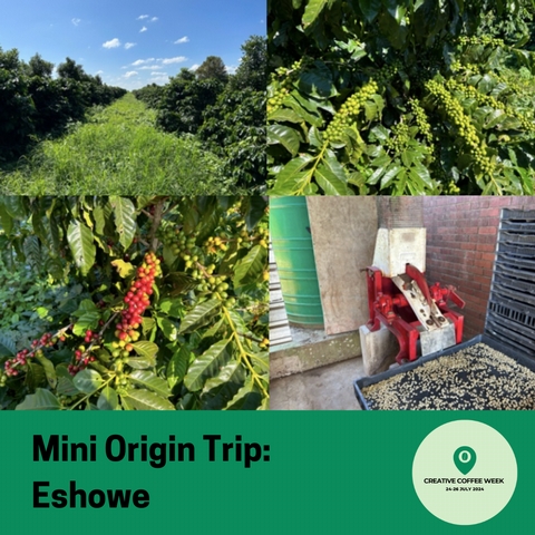 Mini RedBerry Origin Trip: Eshowe - 
