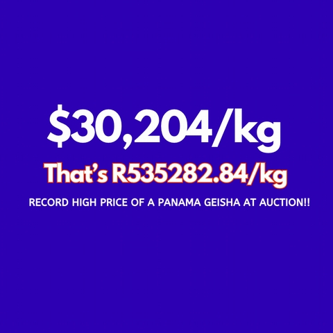 New Record-Breaking High Price paid at Best of Panama Auction 2025 - 